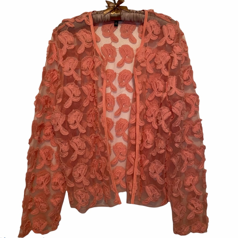 Cupio Embroidered Floral Sheer Pink Open Jacket XL - Picture 1 of 9